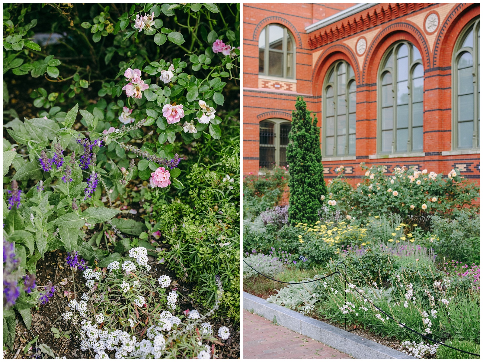 Enid A. Haupt Garden photos