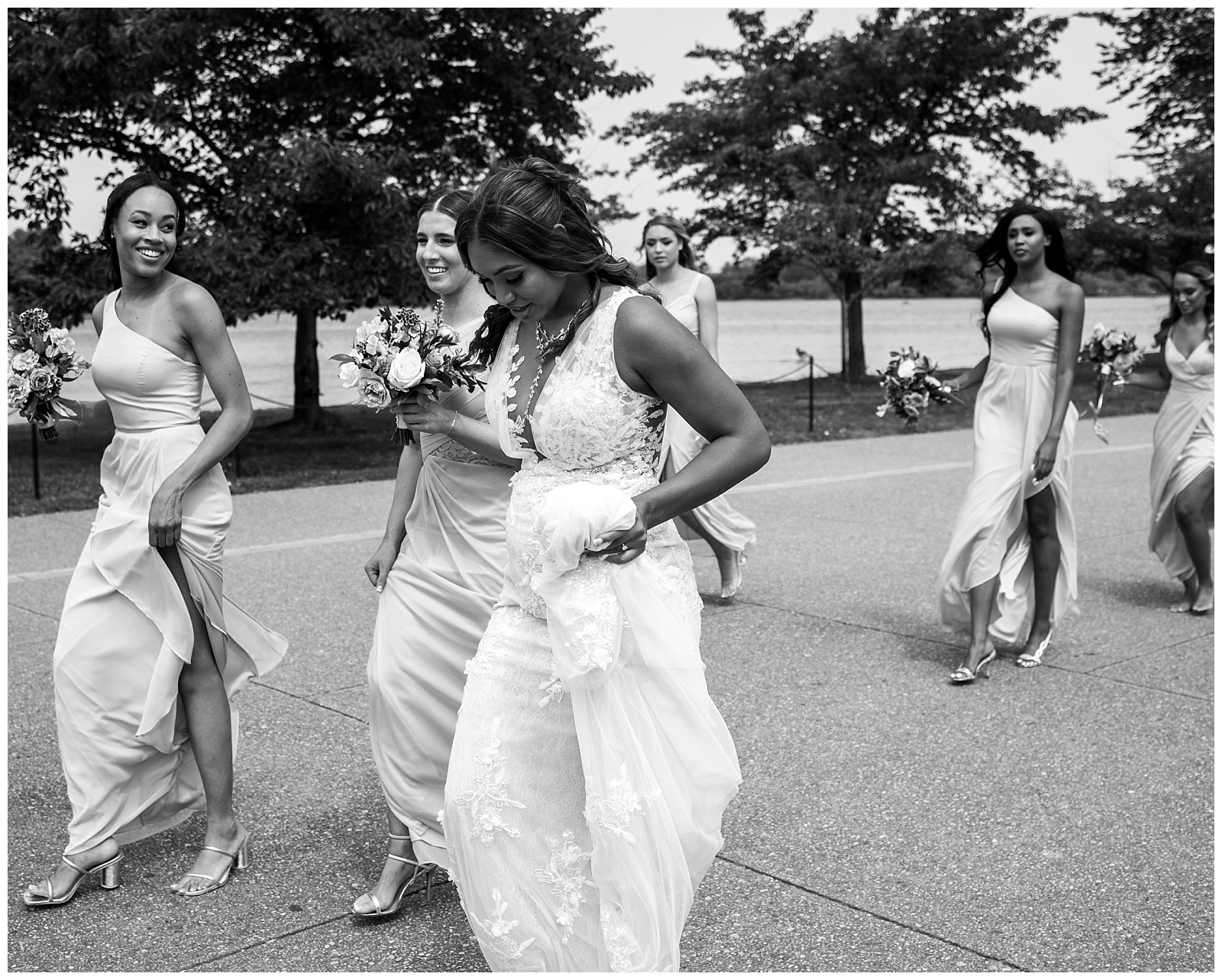 bridal party at the Lincoln monument